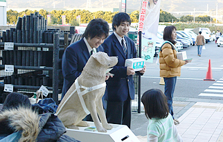 学習内容